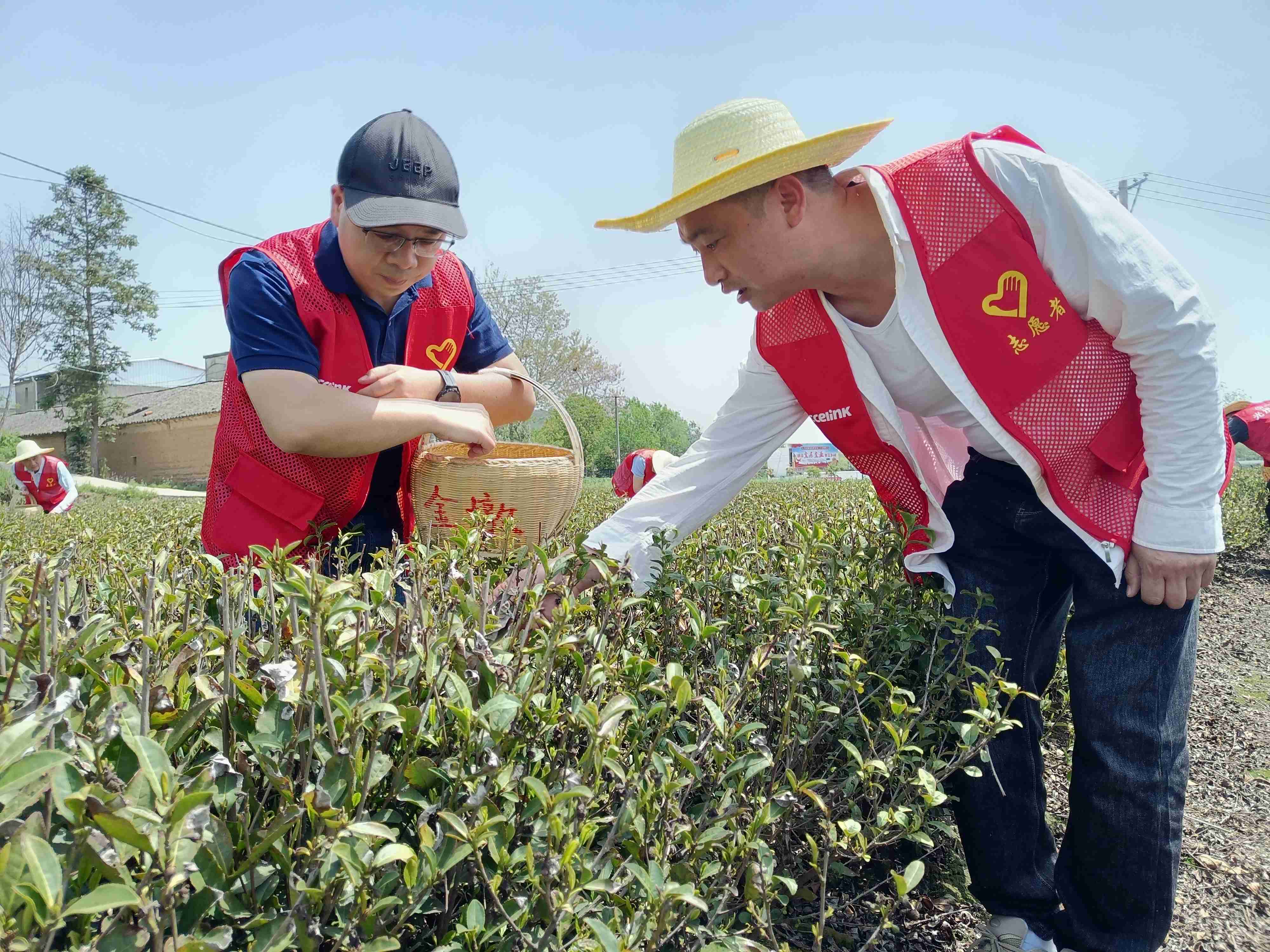 3133cc拉斯维加斯·(中国游)官方网站